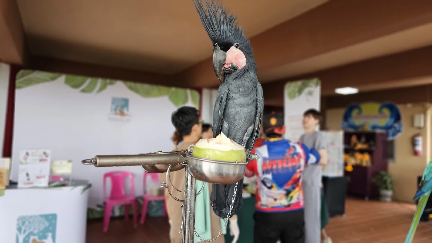 TAVIG จับมือองค์การสวนสัตว์ จัดประชุม “IAIC 2025” ครั้งแรกในไทย