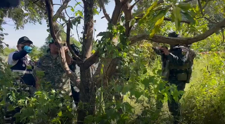 AOT ลงพื้นที่บ้านหนองหญ้าแก้ว ดูวิถีกระสุนกัมพูชายิงบังเกอร์