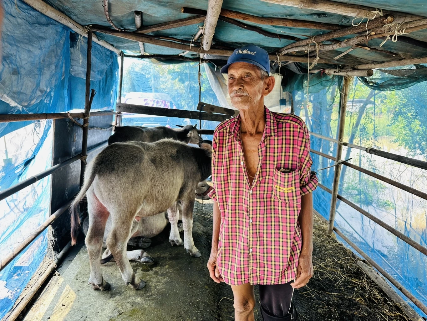 อยุธยา วิกฤต! น้ำท่วม 4 เดือน กระทบ 6 หมื่นกว่าครัวเรือน 11 อำเภอถูกน้ำท่วมสูง