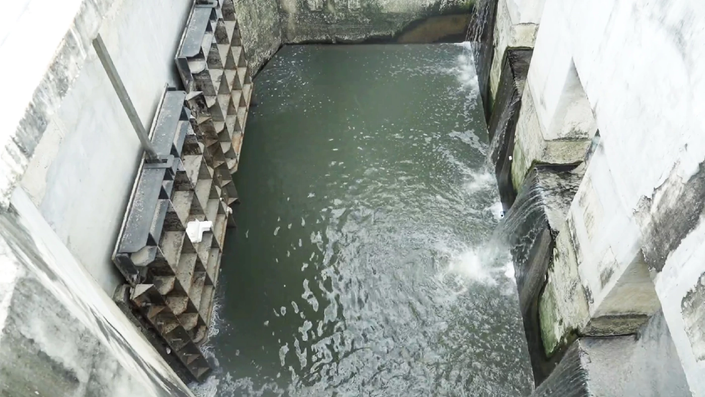 “จากเมืองท่องเที่ยว สู่เมืองน่าอยู่” พัทยากับแผนพัฒนาโครงสร้างยั่งยืน ในมุมมองของผู้นำยุคดิจิทัล