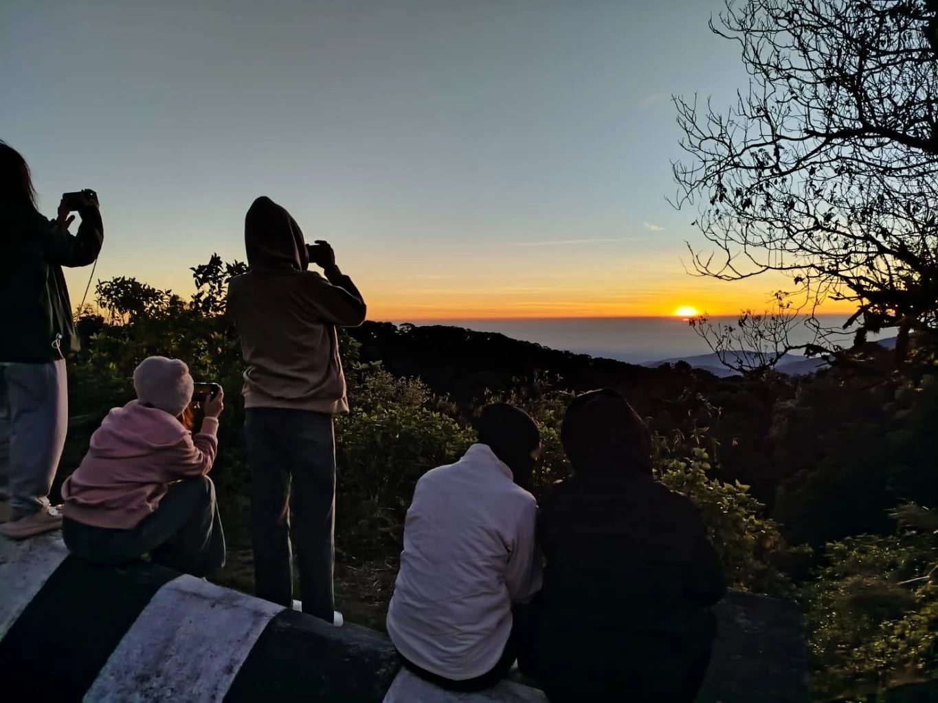 มาแล้ว “เหมยขาบ” ครั้งแรกฤดูหนาวปีนี้ ดอยอินทนนท์ อุณหภูมิลดฮวบ เหลือ 4 องศาฯ