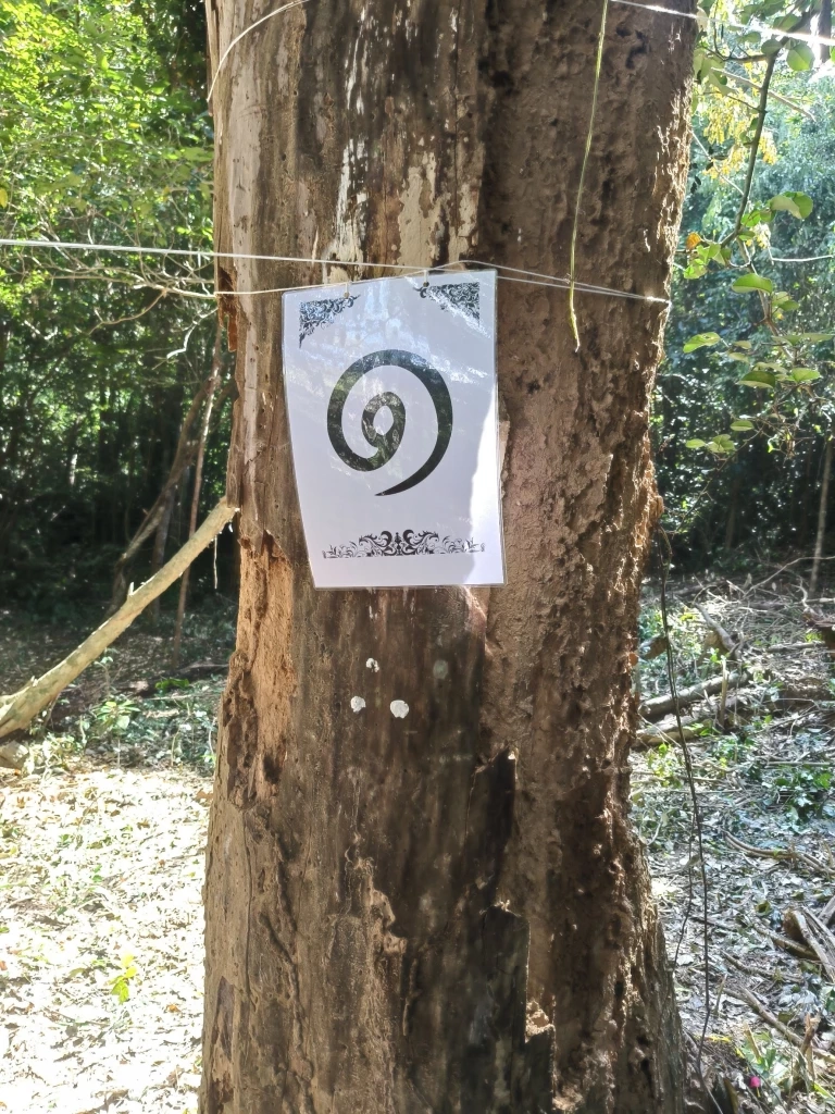 บวงสรวงตัด “ไม้จันทน์หอม” สร้างพระโกศจันทน์ - พระหีบจันทน์