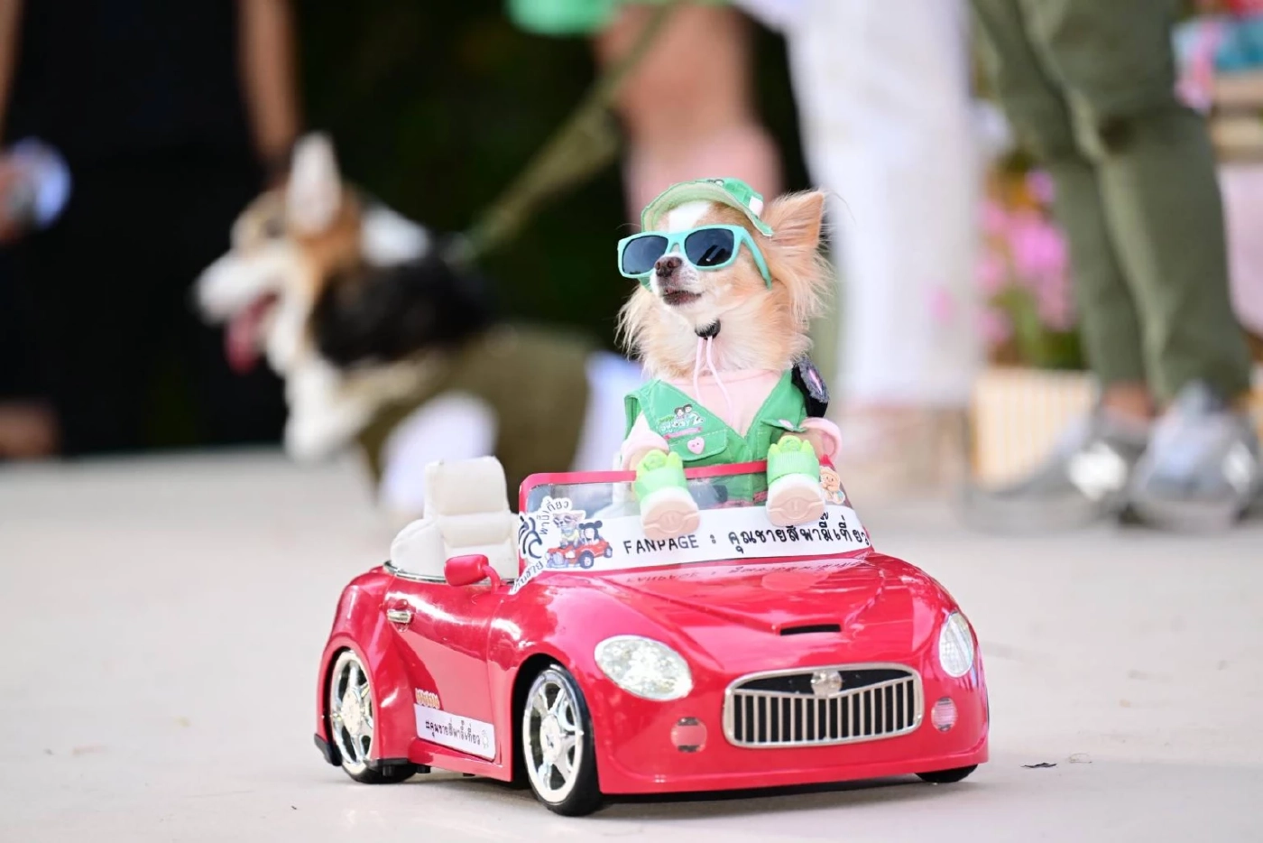 JerHigh จับมือพี่จอง–คัลแลน เปิดงาน ‘ใจฟูDAY2’ สร้างสังคมแห่งความสุขเพื่อคนรักน้องหมา