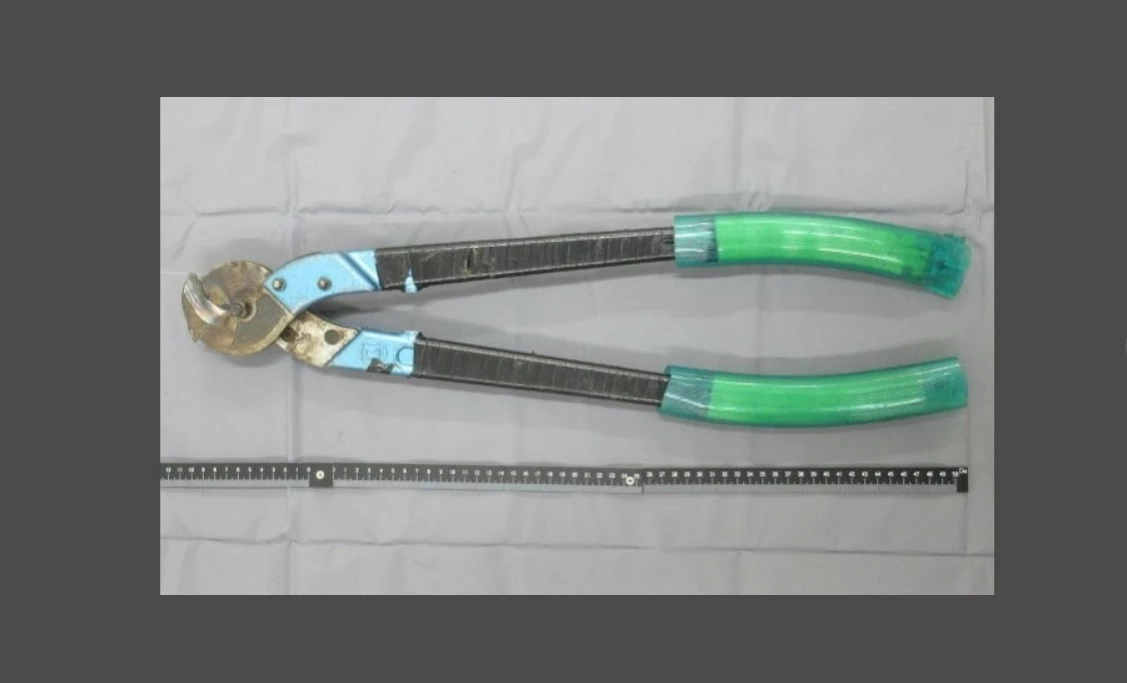 คนไทยฉาวอีก ขโมยตัดสายทองแดงโรงงานแสงอาทิตย์ที่ญี่ปุ่น