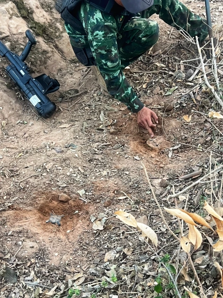 ภาพจากแฟ้ม