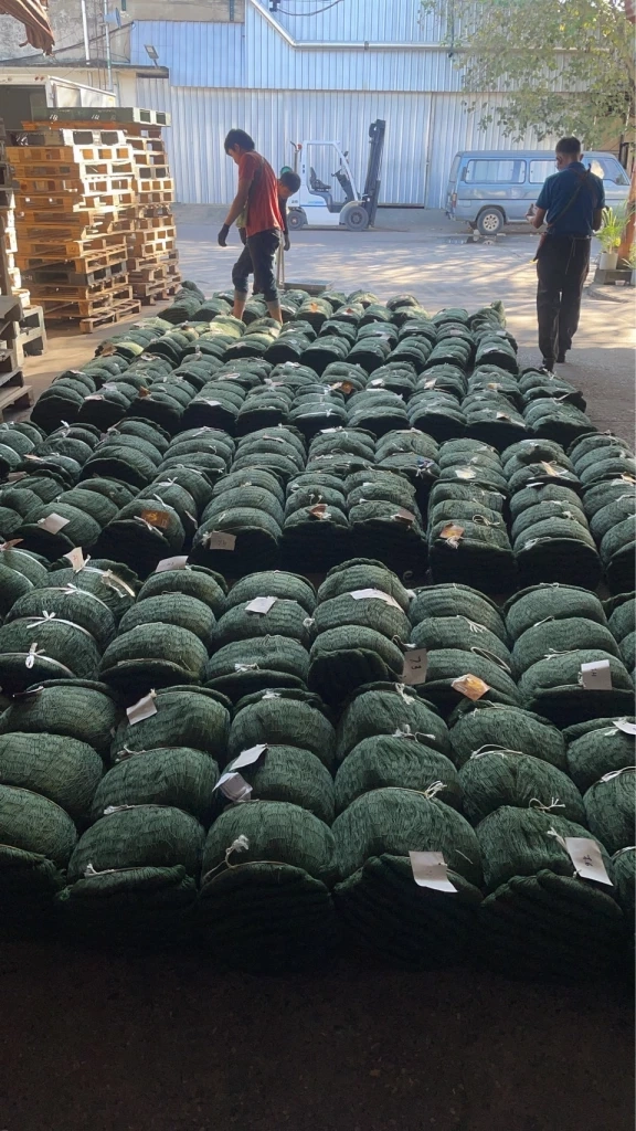 วปอ.68 รุดชายแดน! มอบ "ตาข่ายกันโดรนทิ้งระเบิด" เสริมเกราะทหารกล้า ทภ.2