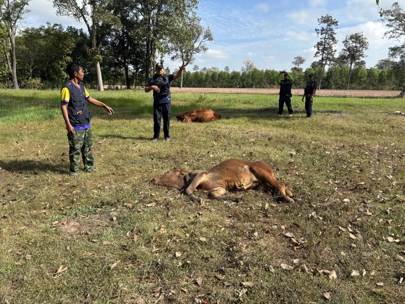 BM-21 ถล่ม "ตาควาย-เสาธงชัย" ศรีสะเกษ! ชาวบ้านบาดเจ็บ 5 ราย บ้านวอด 2 หลัง เตือนห้ามเข้า "พนมดงรัก" เด็ดขาด