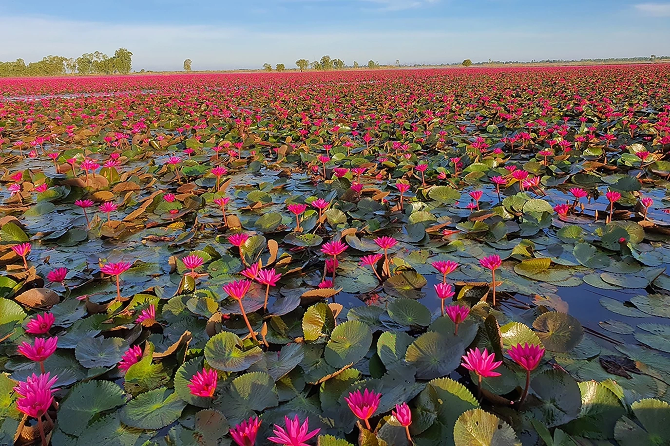 เทรนด์ เรียกรถ-ฟู้ดเดลิเวอรี 'ส้มตำ' ครองแชมป์ยอดสั่ง 16 ล้านจาน