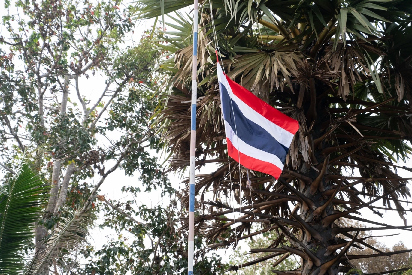 ปะทะเดือดเช้ามืด! ล่าสุด "นาวิก" ปักธงชาติไทย ยึดคืนพื้นที่บ้าน 3 หลัง จ.ตราด (มีคลิป)