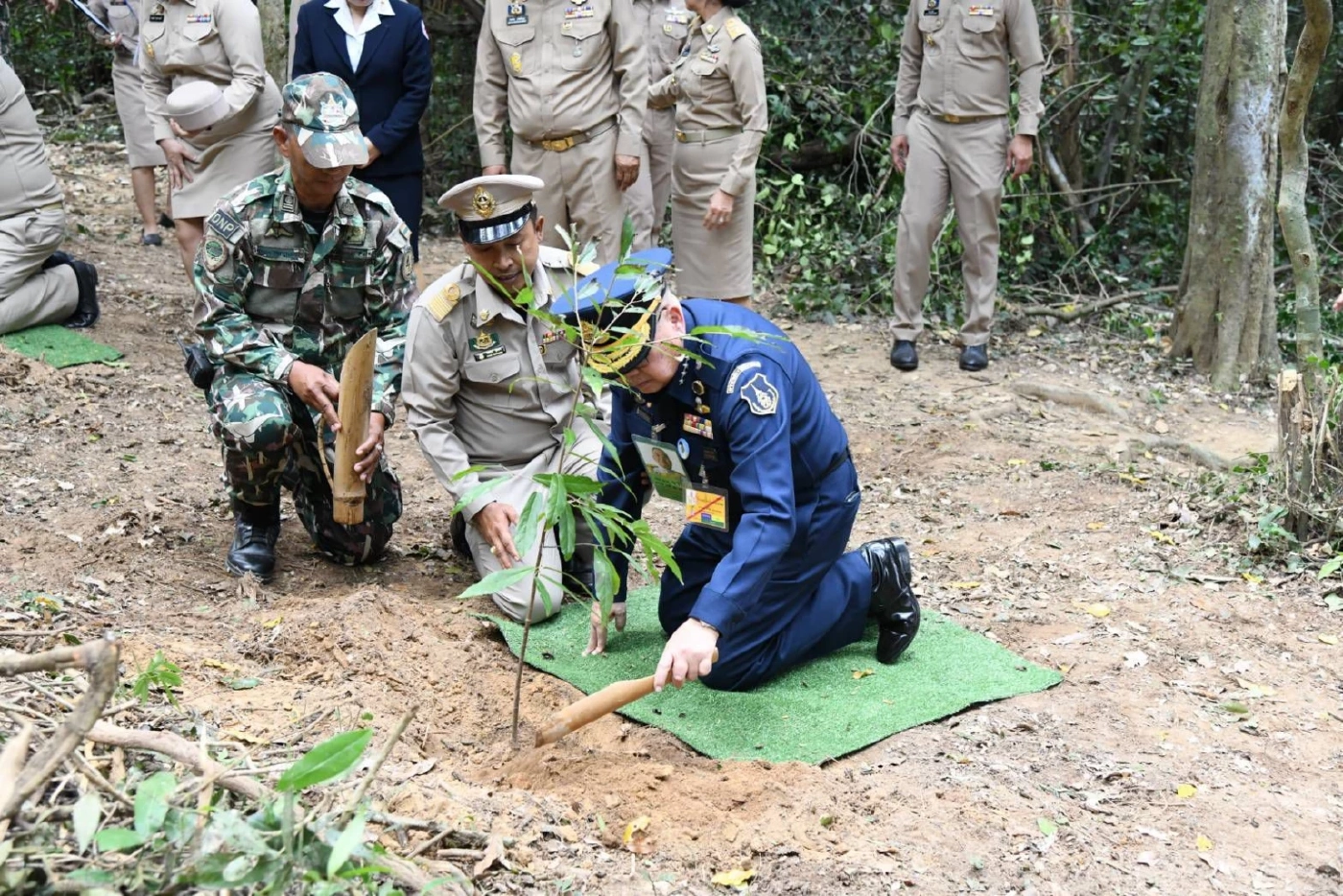 บวงสรวงตัด “ไม้จันทน์หอม” สร้างพระโกศจันทน์ - พระหีบจันทน์