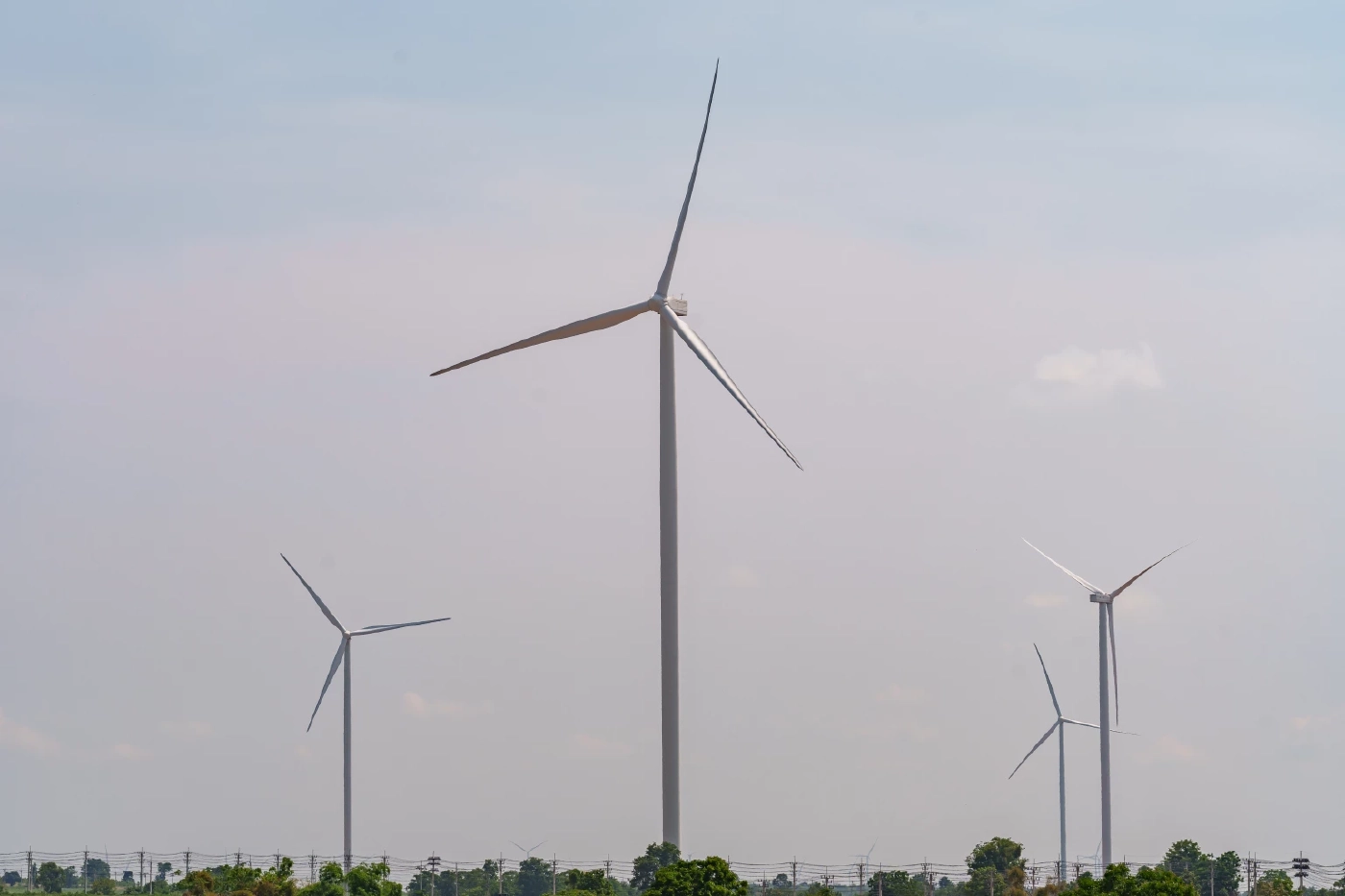 EA ยินดีกฎหมาย Climate ฉบับแรกไทย พร้อมขับเคลื่อนเศรษฐกิจคาร์บอนต่ำ