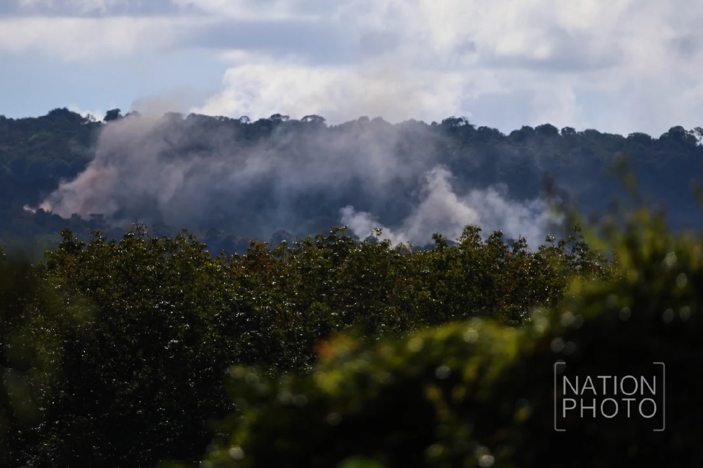 "อนุทิน" เลือก "ยุบสภา" ก่อนรัฐบาลดิ่งปม "น้ำท่วมใต้" ก่อนได้คะแนน "ชายแดนกัมพูชา"