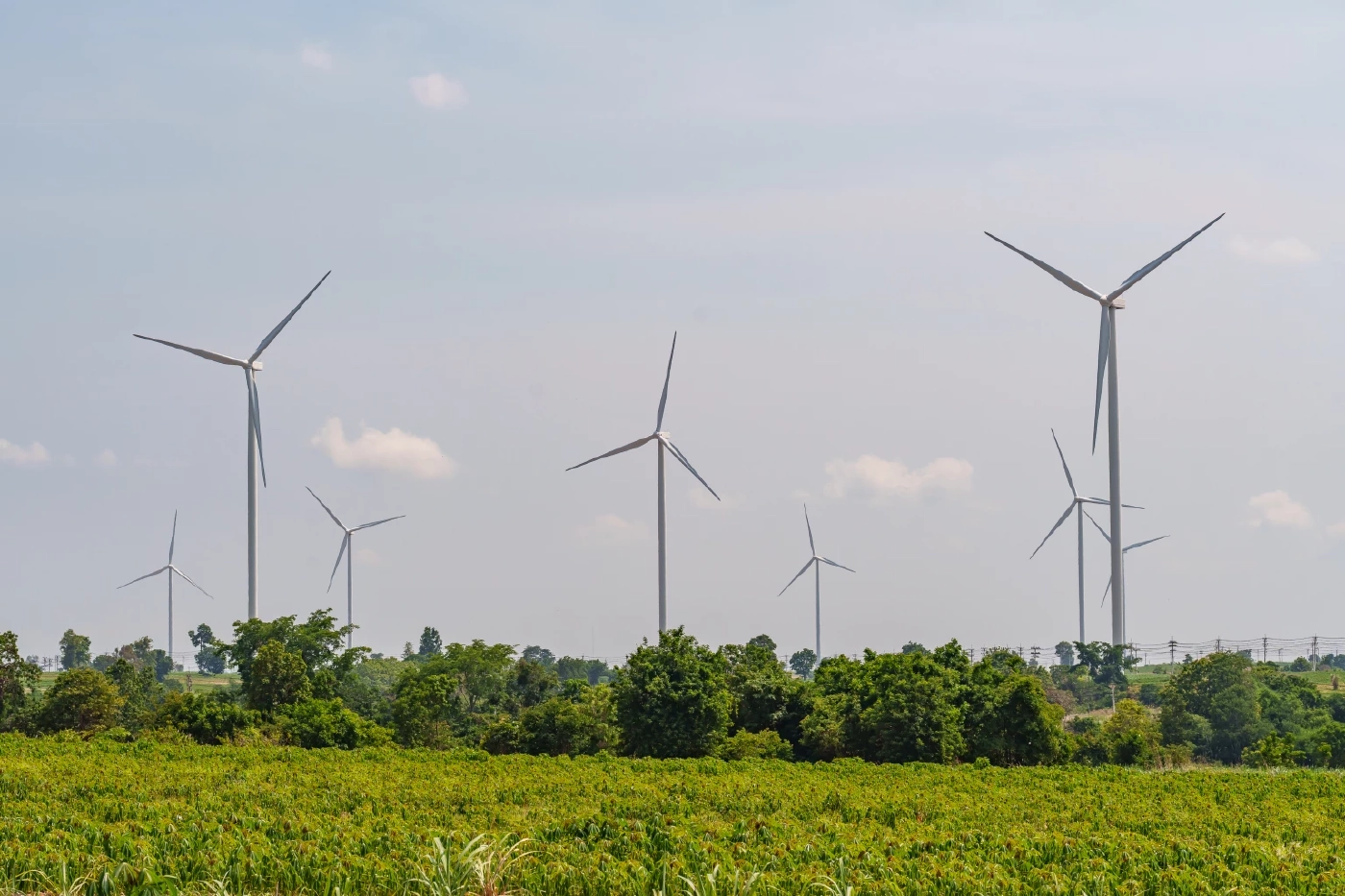 EA ยินดีกฎหมาย Climate ฉบับแรกไทย พร้อมขับเคลื่อนเศรษฐกิจคาร์บอนต่ำ