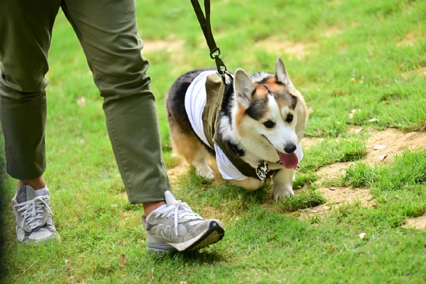 JerHigh จับมือพี่จอง–คัลแลน เปิดงาน ‘ใจฟูDAY2’ สร้างสังคมแห่งความสุขเพื่อคนรักน้องหมา
