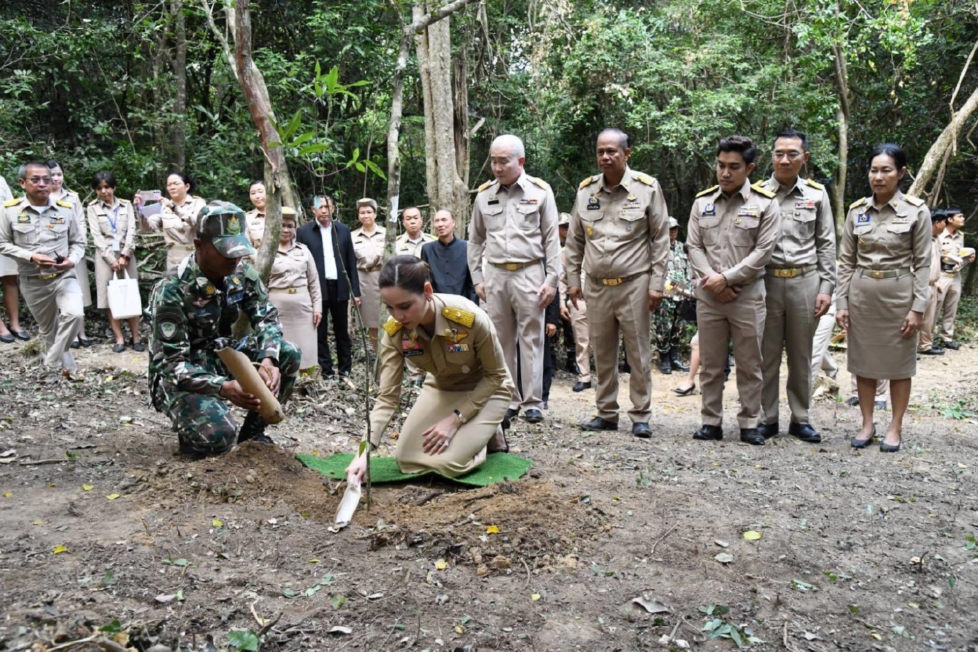บวงสรวงตัด “ไม้จันทน์หอม” สร้างพระโกศจันทน์ - พระหีบจันทน์