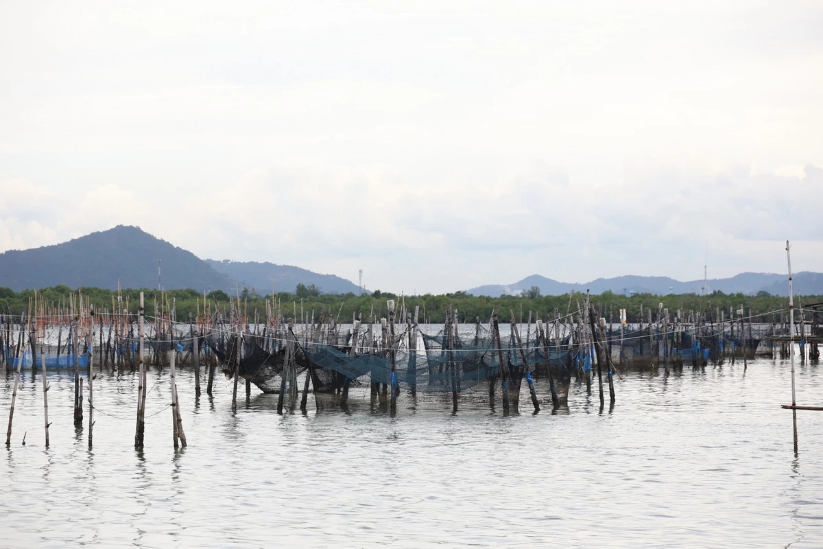 มูลนิธิซีพีฯ ฟื้นปลากะพง 3 น้ำ GI สงขลา เยียวยาประมงหลังอุทกภัย