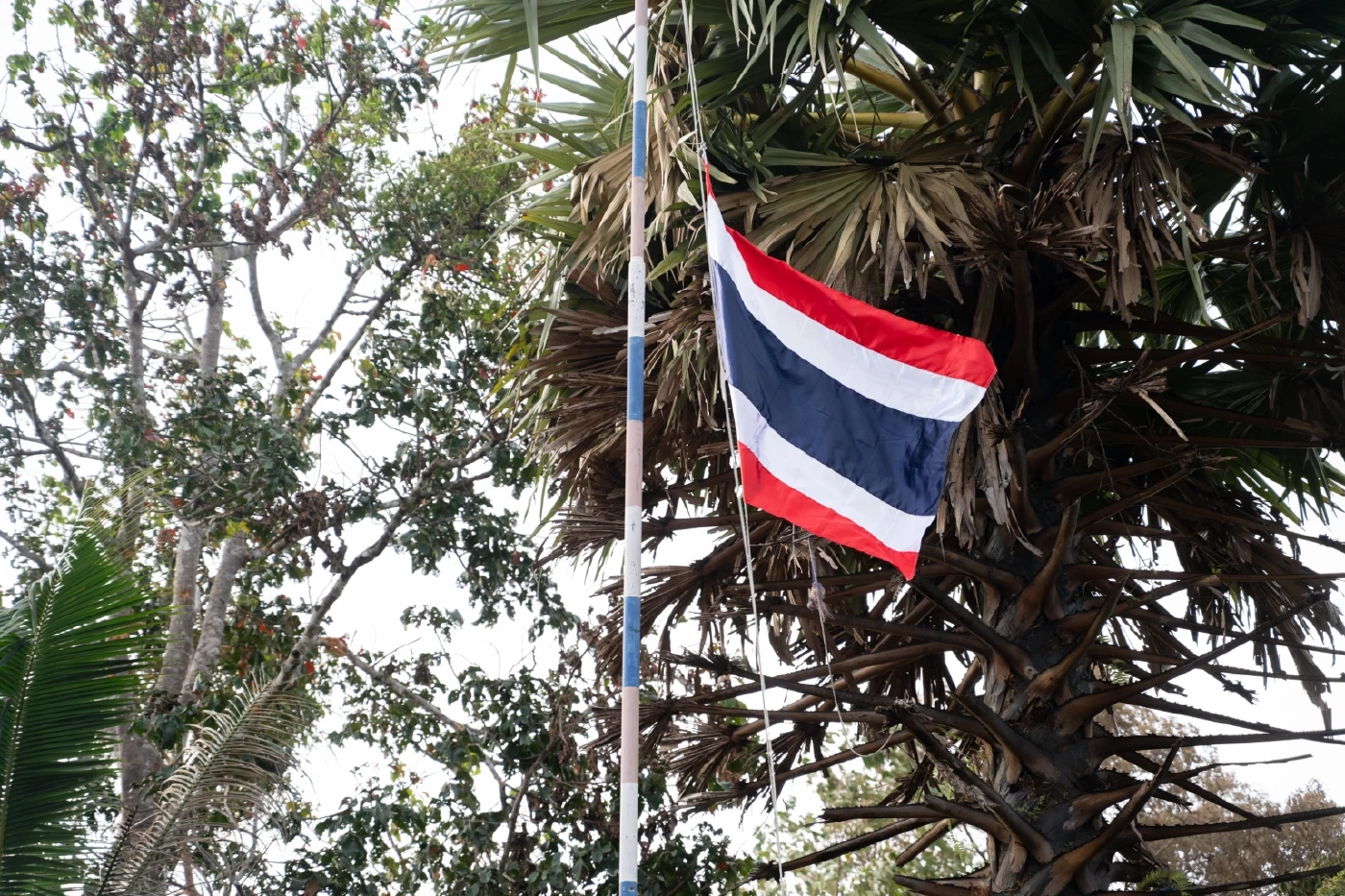 ปะทะเดือดเช้ามืด! ล่าสุด "นาวิก" ปักธงชาติไทย ยึดคืนพื้นที่บ้าน 3 หลัง จ.ตราด (มีคลิป)