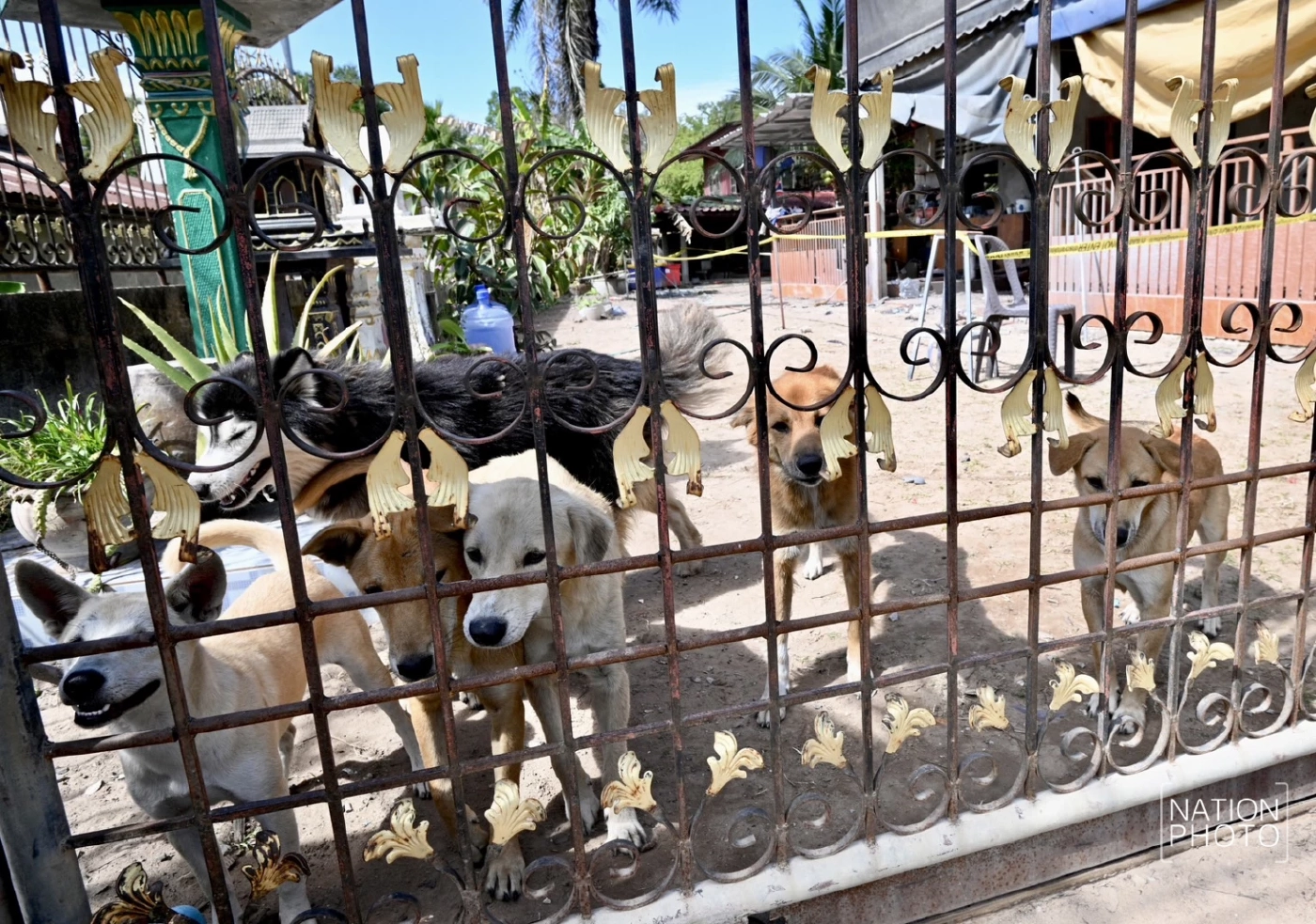 คนไทยดับแล้ว 4 สืบเนื่องจากกัมพูชาโจมตีไทย ทหารลั่นลุยเข้มข้นขึ้น