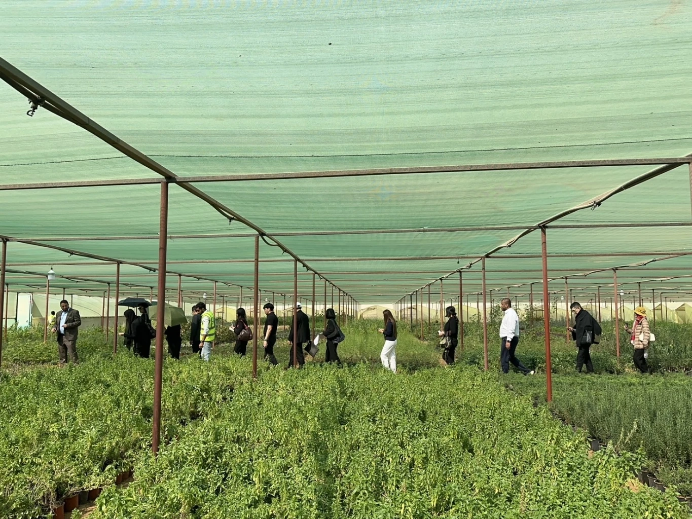 พาณิชย์สบช่องทางดันพันธุ์ไม้ไทย บริการรับจัดสวน บุกตลาดซาอุฯ