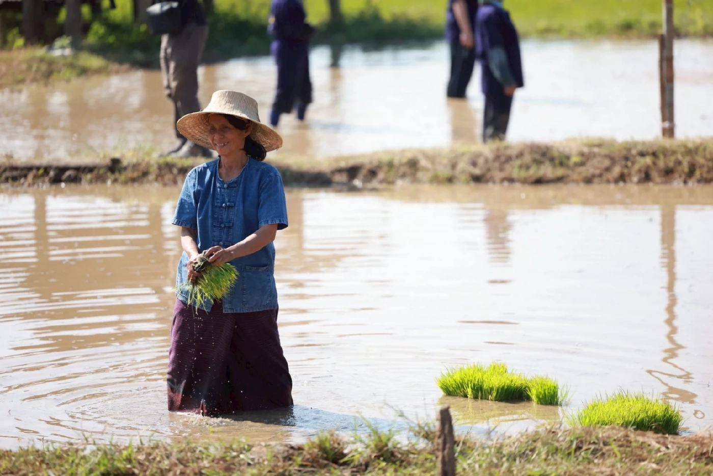 ธ.ก.ส. ชูโมเดลชุมชนบ้านนาต้นจั่น จ.สุโขทัย ต้นแบบชุมชนอุดมสุข