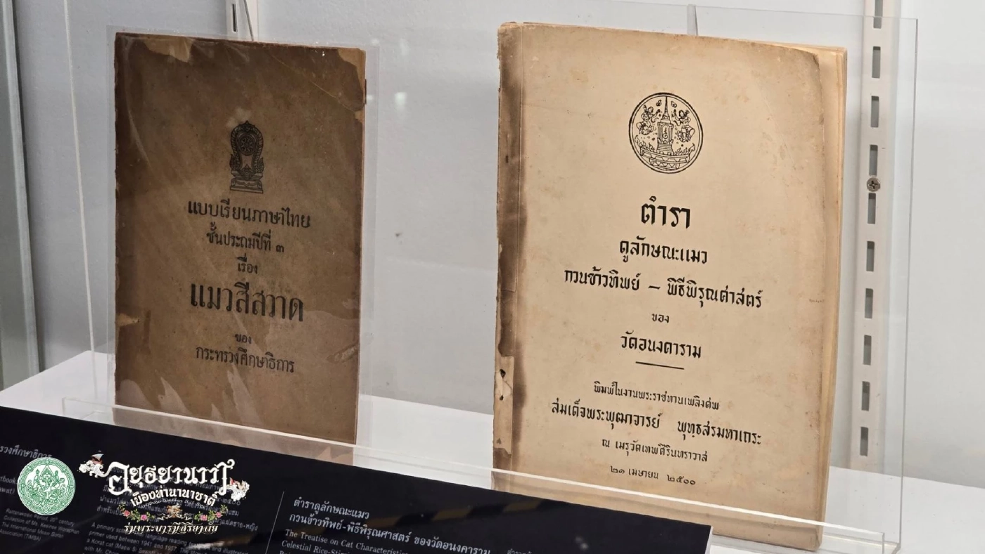 ประกวดแมวไทยโบราณคืนถิ่นกรุงศรี ปีที่ 2 ณ พิพิธภัณฑ์ฯ เจ้าสามพระยา