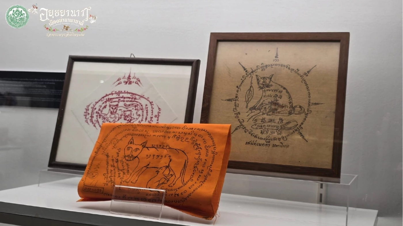 ประกวดแมวไทยโบราณคืนถิ่นกรุงศรี ปีที่ 2 ณ พิพิธภัณฑ์ฯ เจ้าสามพระยา