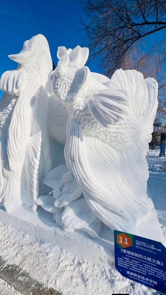 วอศ.เชียงราย-วอศ.เสาวภา คว้าแชมป์แกะสลักหิมะนานาชาติที่ฮาร์บิน