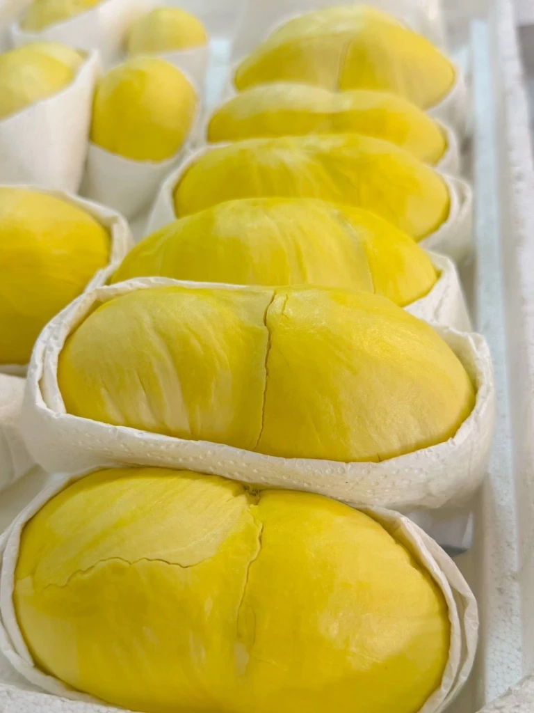 พาณิชย์เกาะติดผลผลิตทุเรียนไทย ปั้นภาพลักษณ์ดันรายได้เกษตรกร