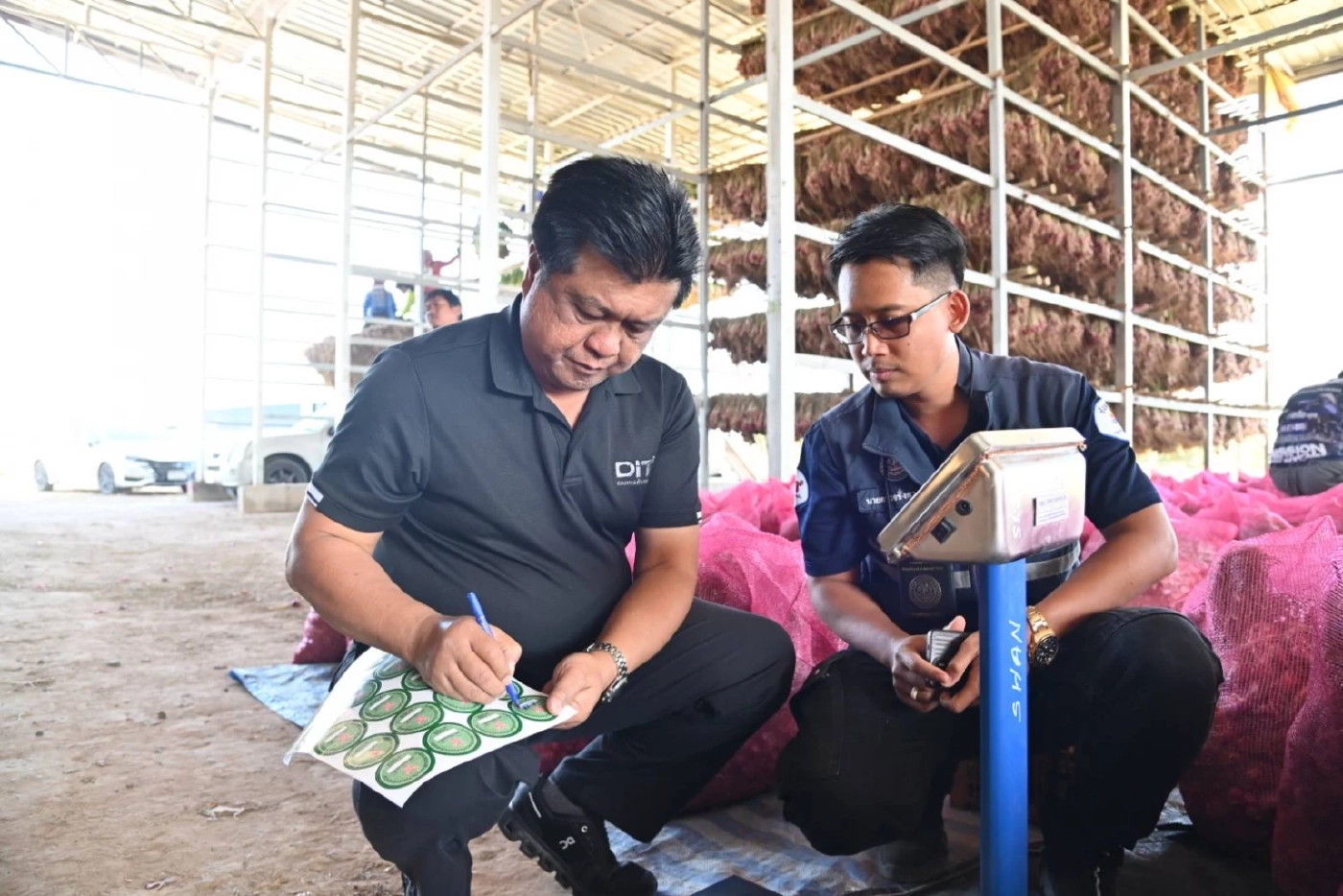 พาณิชย์พยุงราคาหอมแดง งัด 3 มาตรการ 'ดูดซับ - ส่งออก' 7 พันตัน