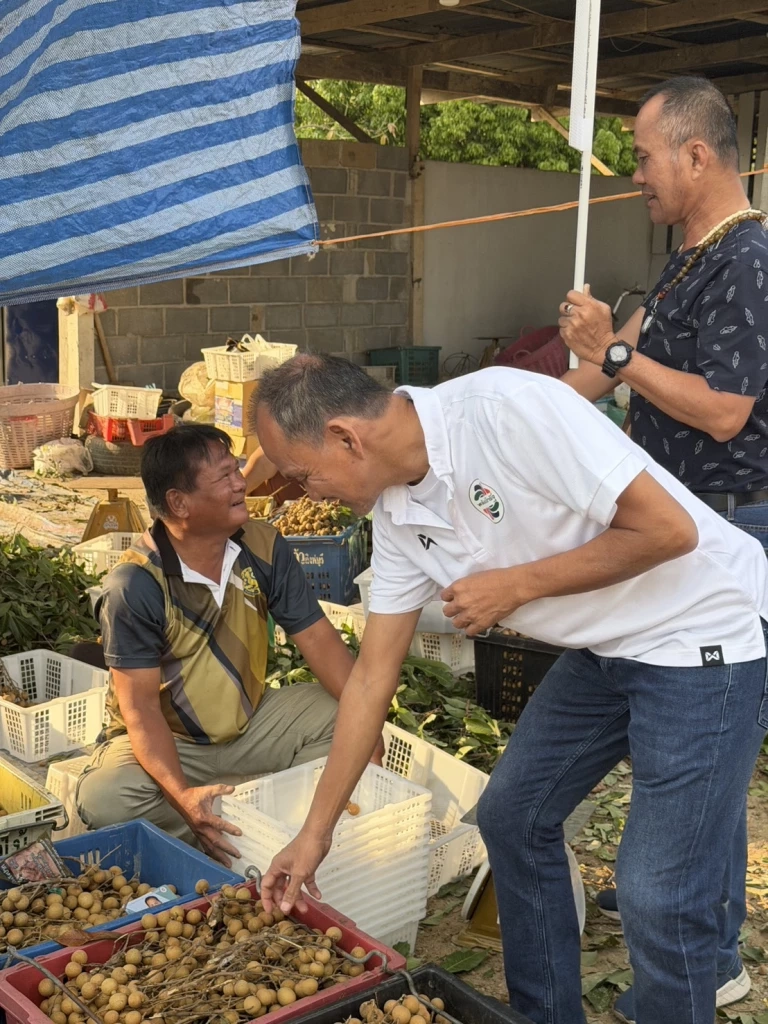 พปชร.ชูเกษตรกรมั่งคั่ง ไฟฟ้าประชารัฐ สิทธิที่ดินทำกิน