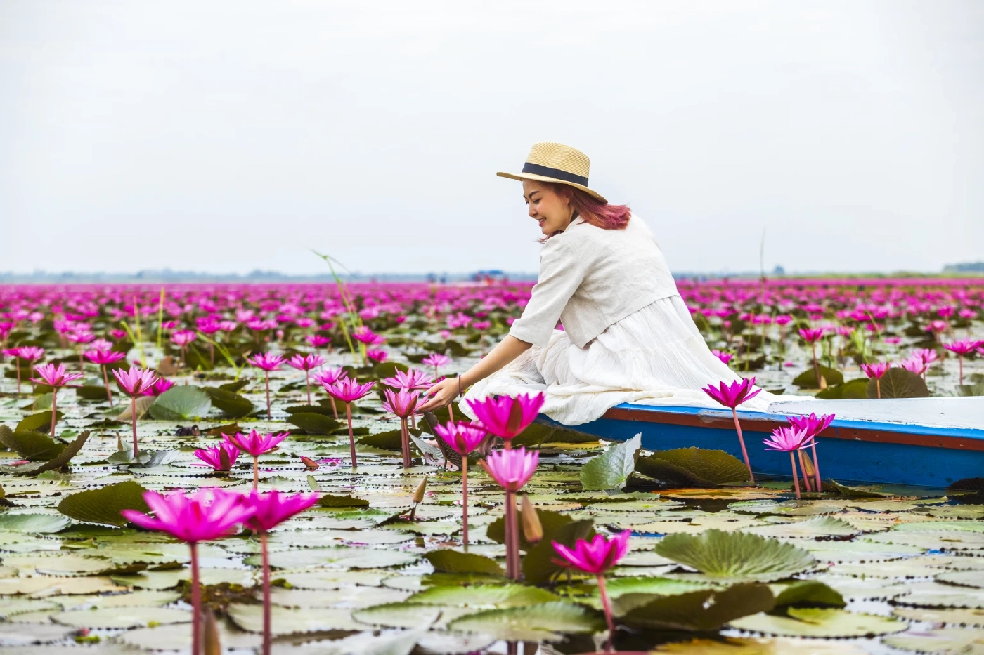 ปรากฏการณ์ LISA Effect ปลุกท่องเที่ยวอุดรฯ ทะเลบัวแดงคึกคัก