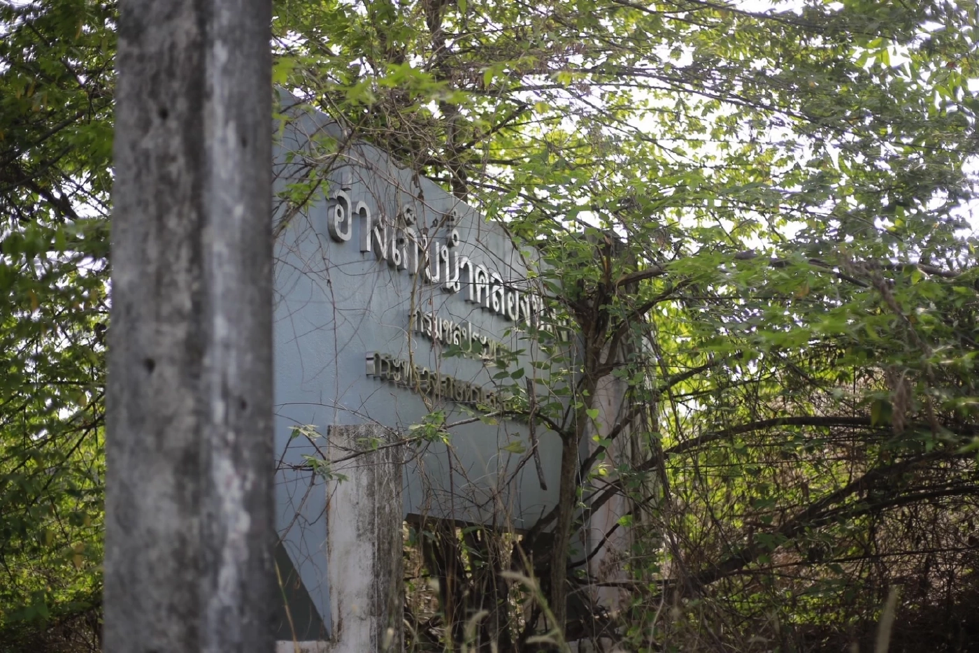 "พลังประชารัฐ" ไม่หยุด! เดินหน้าหาเสียงขอโอกาสเป็น สส.