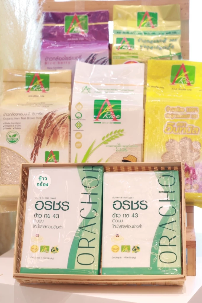 ธ.ก.ส.- GIZ หนุนเกษตรกรปลูกข้าววิถีใหม่ 'เงินอุดหนุน-สินเชื่อ'