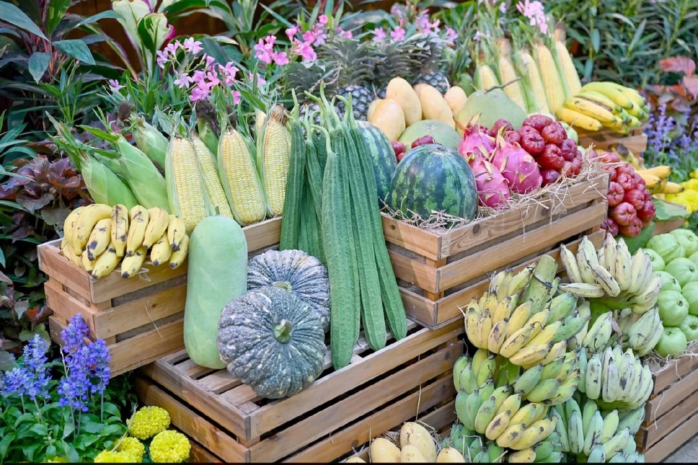 "มก." จัดใหญ่ "เกษตรแฟร์ 2569"  สืบสานพระปณิธานพระพันปี สู่วิถีเกษตรยั่งยืน