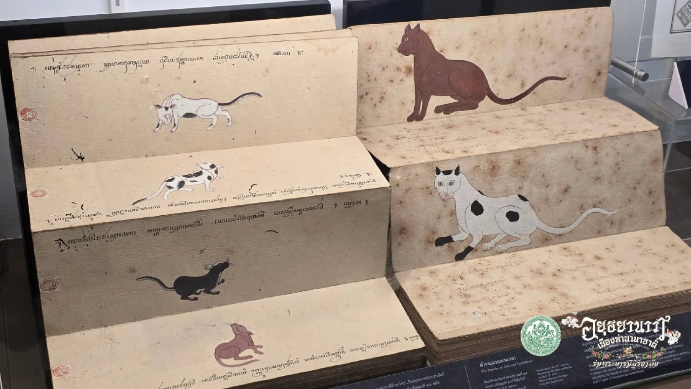 ประกวดแมวไทยโบราณคืนถิ่นกรุงศรี ปีที่ 2 ณ พิพิธภัณฑ์ฯ เจ้าสามพระยา
