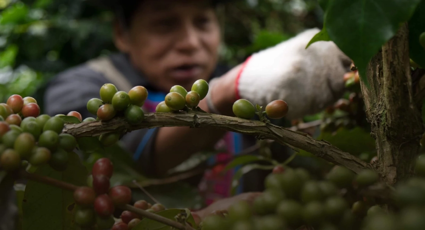 แมริออท พร้อมมอบประสบการณ์การท่องเที่ยวที่มีความหมาย ผ่าน Good Travel with Marriott Bonvoy™ กับกิจกรรมที่คัดสรรมาอย่าพิถีพิถันทั่วภูมิภาคเอเชียแปซิฟิก (ไม่รวมจีน)