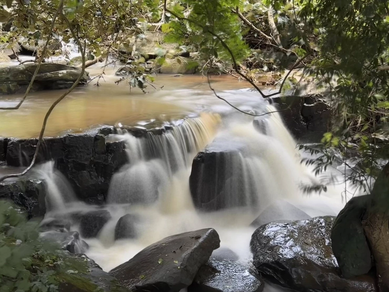 "ทับลาน" เร่งสกัดช้างป่ารุกที่ทำกิน-ประกาศปิด 4 แหล่งท่องเที่ยว