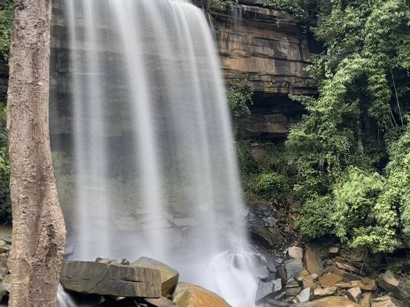 "ทับลาน" เร่งสกัดช้างป่ารุกที่ทำกิน-ประกาศปิด 4 แหล่งท่องเที่ยว