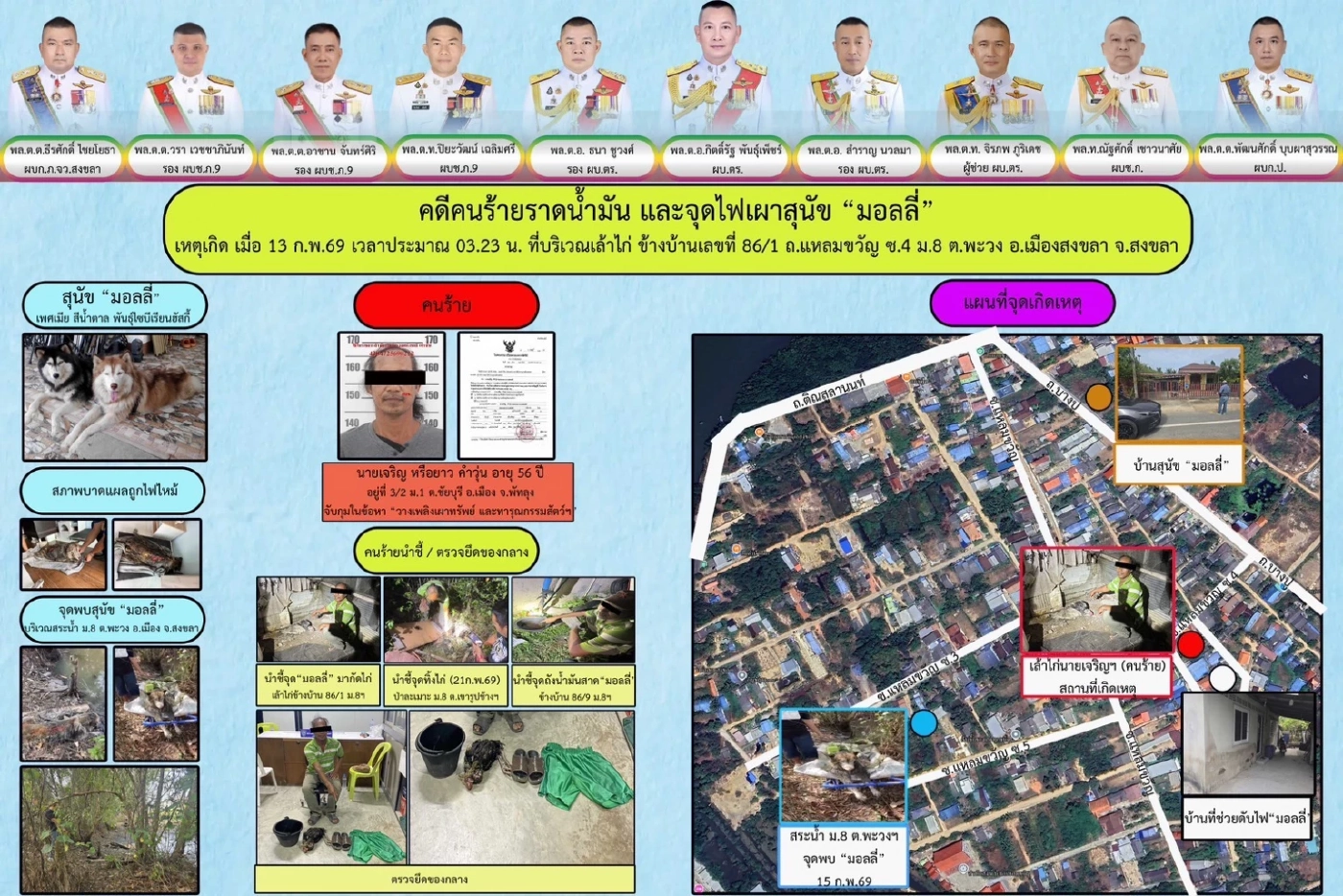 เปิดโฉม! ชายวัย 56 ปี สารภาพสิ้น ลงมือราดน้ำมันทำร้าย "มอลลี่" ไซบีเรียนทั้งเป็น