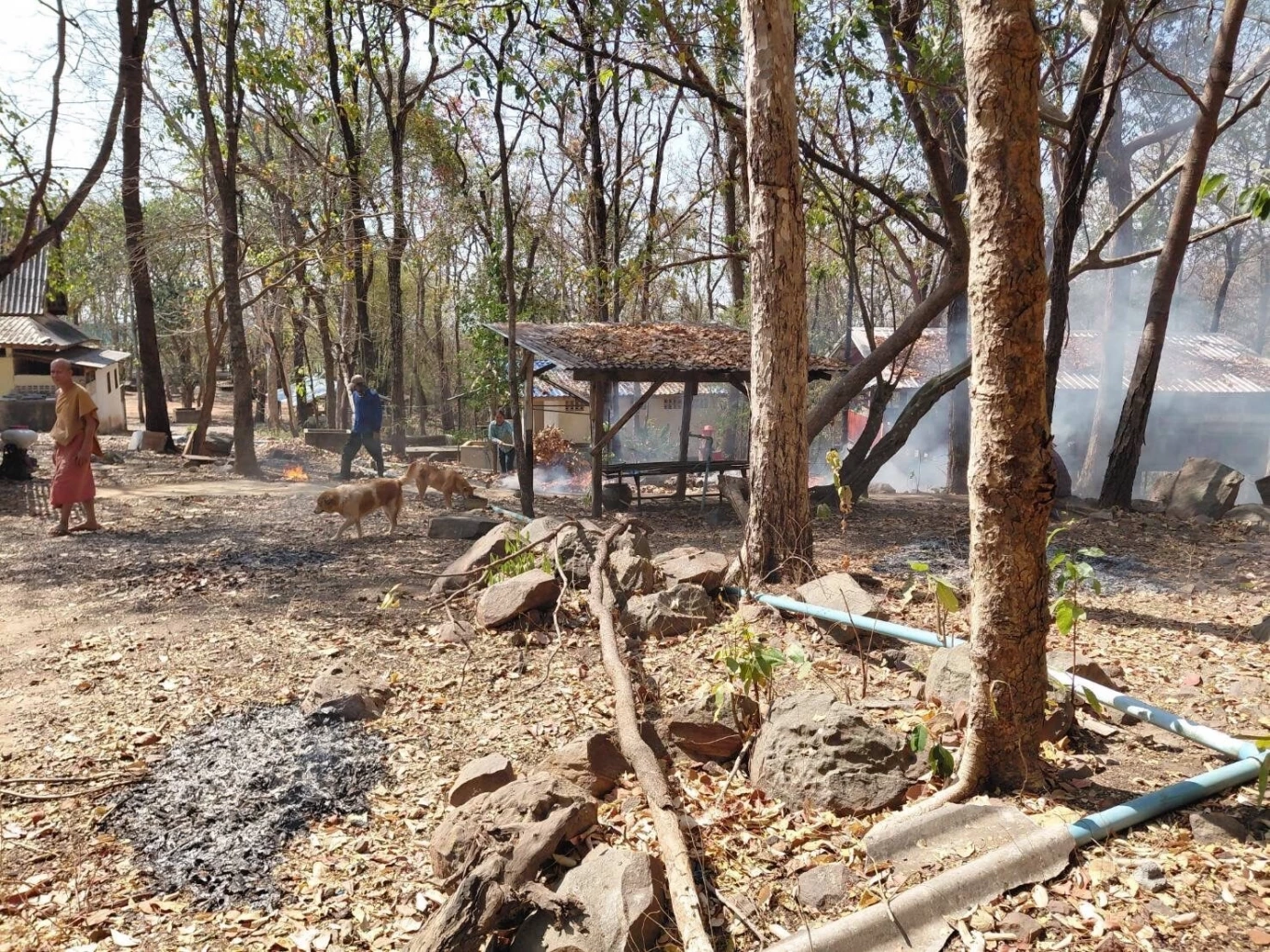 ว่าที่ สส.ชัยภูมิ วอนรัฐบาลใหม่ เร่งหามาตรการแก้ไฟป่าภูแลนคา