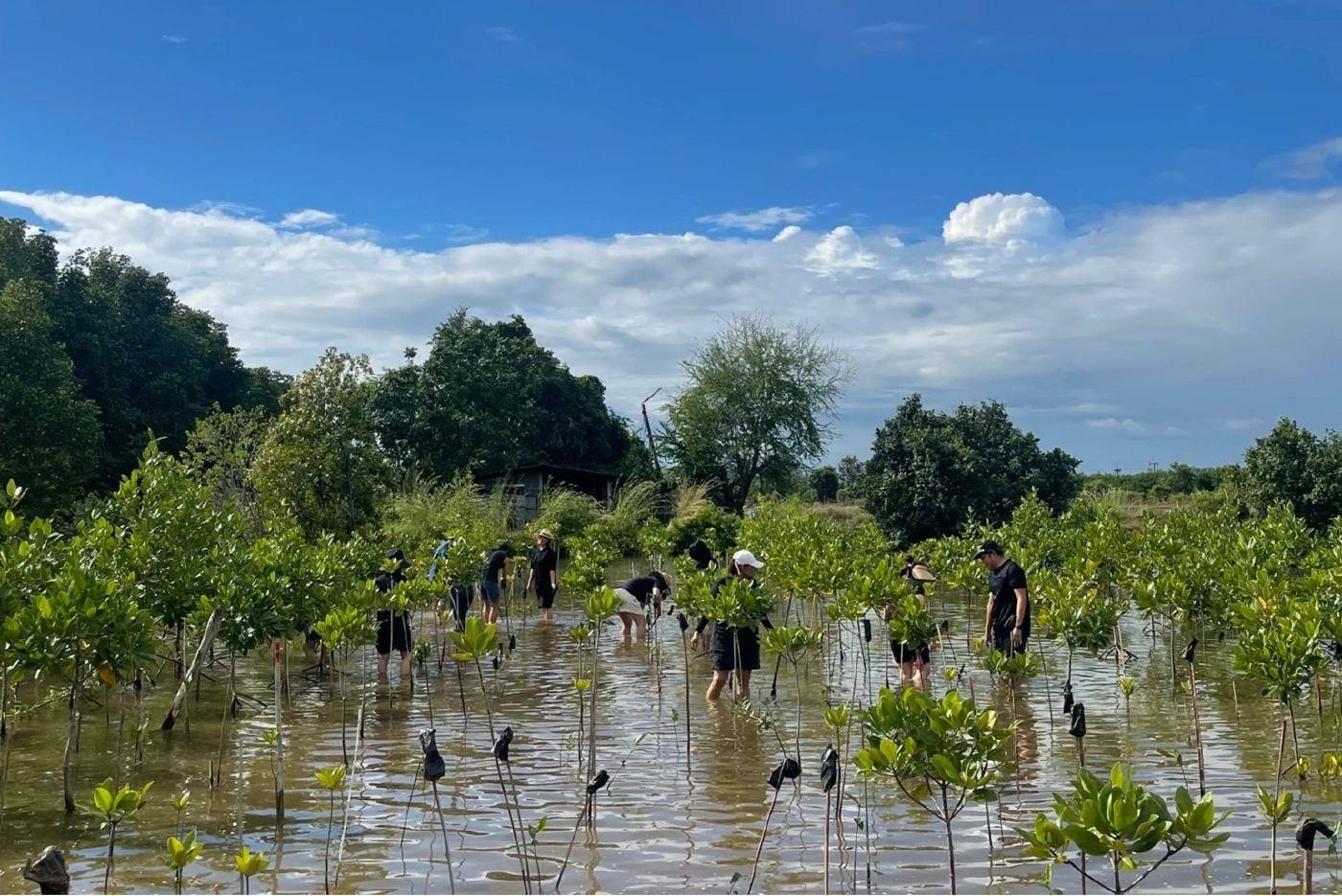 แมริออท พร้อมมอบประสบการณ์การท่องเที่ยวที่มีความหมาย ผ่าน Good Travel with Marriott Bonvoy™ กับกิจกรรมที่คัดสรรมาอย่าพิถีพิถันทั่วภูมิภาคเอเชียแปซิฟิก (ไม่รวมจีน)