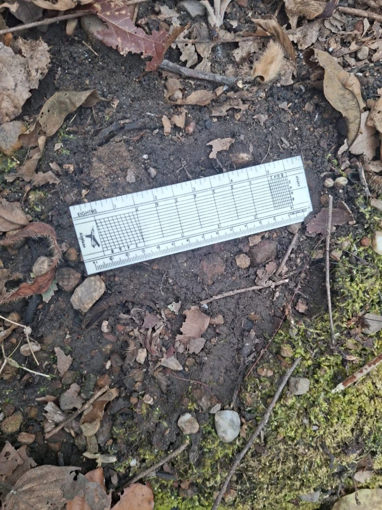 “สุชาติ” สั่งอุทยานเตือน ปชช.พบ “เสือโคร่ง” ล่าเหยื่อสัตว์เลี้ยงในเขต อช.อินทนนท์