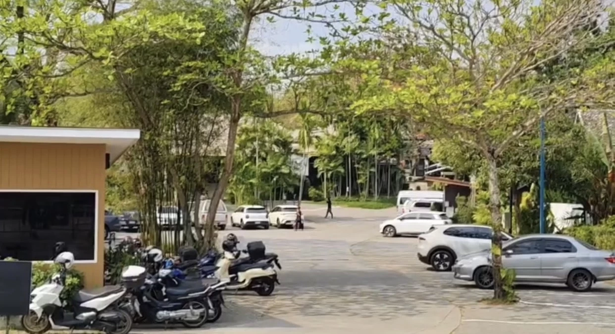 พบเสือโคร่งสวนเสือเอกชน เสียชีวิตผิดปกติ 72 ตัว ภายใน 11 วัน