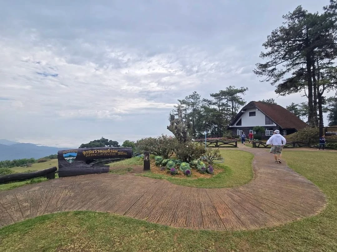 "เอื้องเงินหลวง" กล้วยไม้ป่าหายากบานสะพรั่ง รับหน้าร้อนที่ อช.ห้วยน้ำดัง