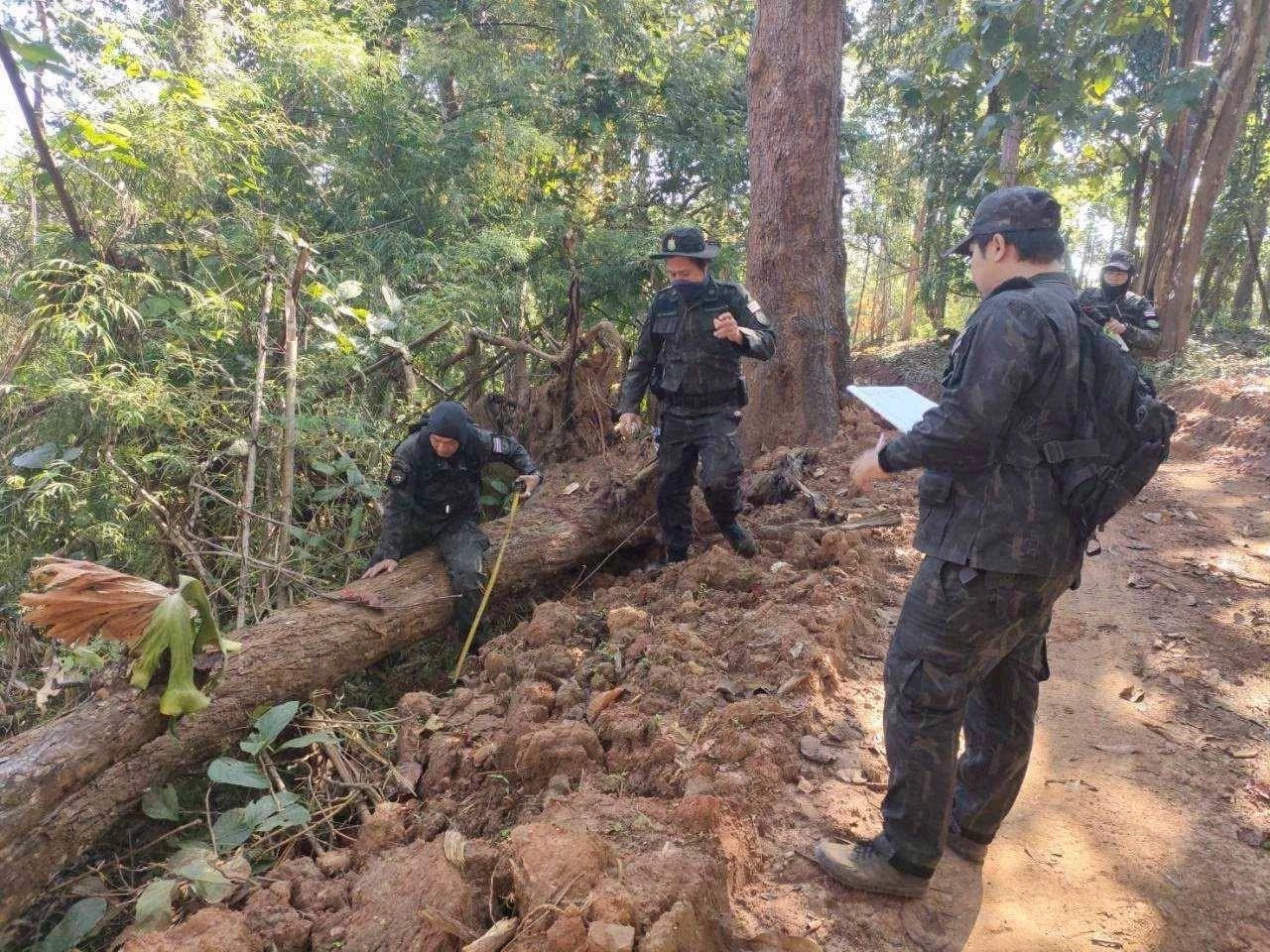 สั่งเด้ง "หน.เขตฯ แม่ยวมฝั่งขวา" ปมตัดถนนกลางป่าอนุรักษ์" หลัง "ชัยวัฒน์" โพสต์ปริศนา "ทุจริตกลางป่ากับเงิน 3 ล้าน"