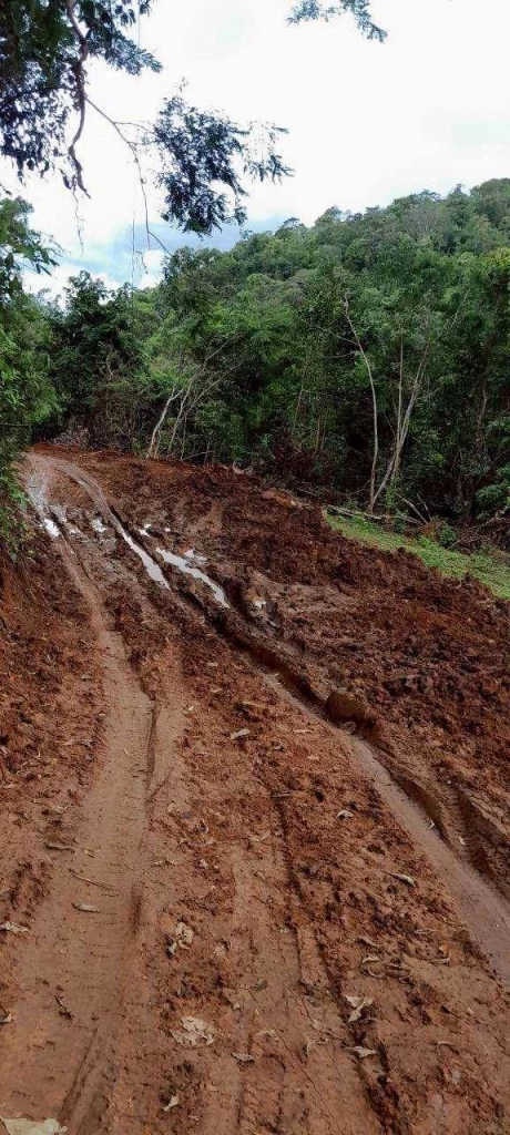 สั่งเด้ง "หน.เขตฯ แม่ยวมฝั่งขวา" ปมตัดถนนกลางป่าอนุรักษ์" หลัง "ชัยวัฒน์" โพสต์ปริศนา "ทุจริตกลางป่ากับเงิน 3 ล้าน"