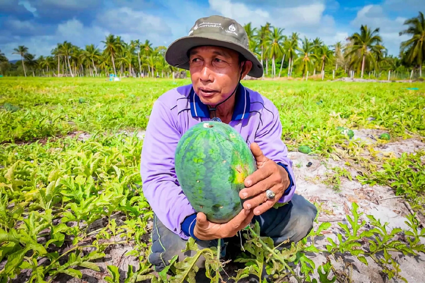 "แตงโมน้ำบ่อ" ปะนาเระ: เมื่อที่ดินรัฐแปลงเป็นทุน เปลี่ยนหยาดเหงื่อเป็นเงินแสน