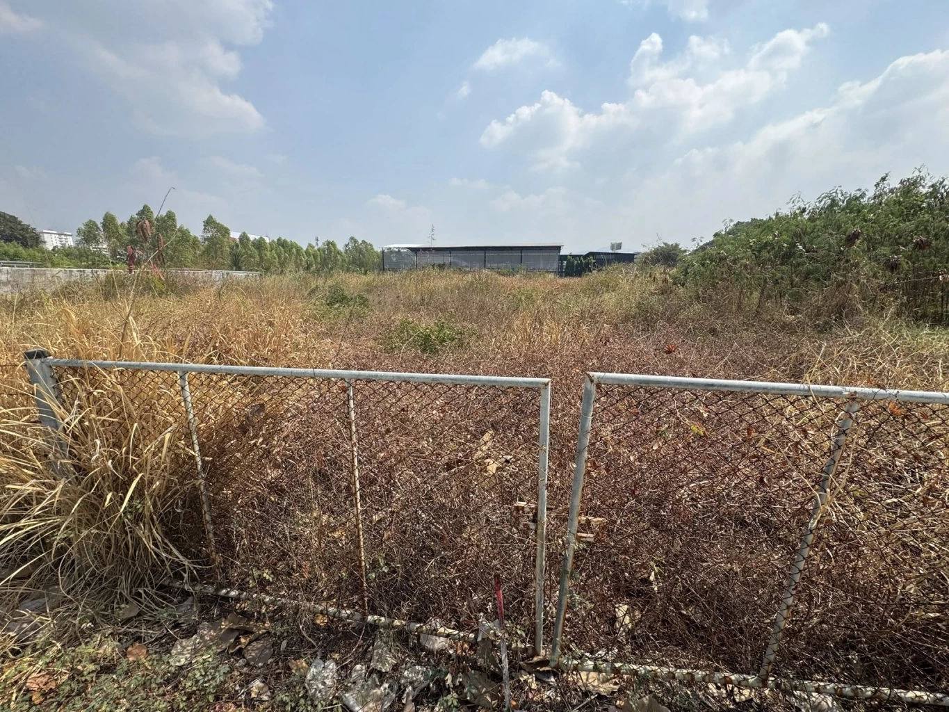 "พรรคส้ม" แฉอีก "ประกันสังคม" ซื้อที่ดิน แบบเฉพาะเจาะจง "84 ล้าน" ประเมินราคาแค่ 24 ล้าน