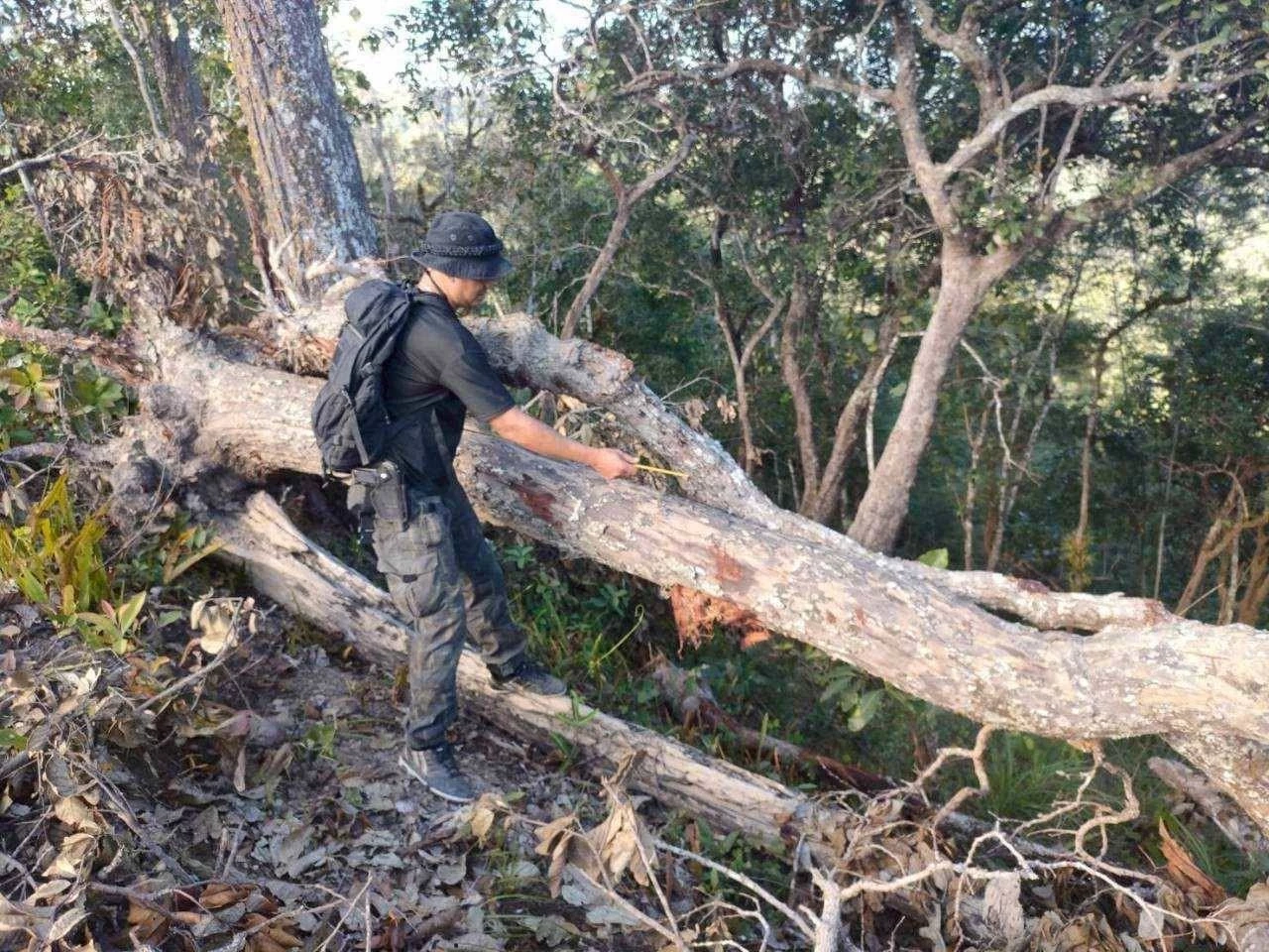 สั่งเด้ง "หน.เขตฯ แม่ยวมฝั่งขวา" ปมตัดถนนกลางป่าอนุรักษ์" หลัง "ชัยวัฒน์" โพสต์ปริศนา "ทุจริตกลางป่ากับเงิน 3 ล้าน"