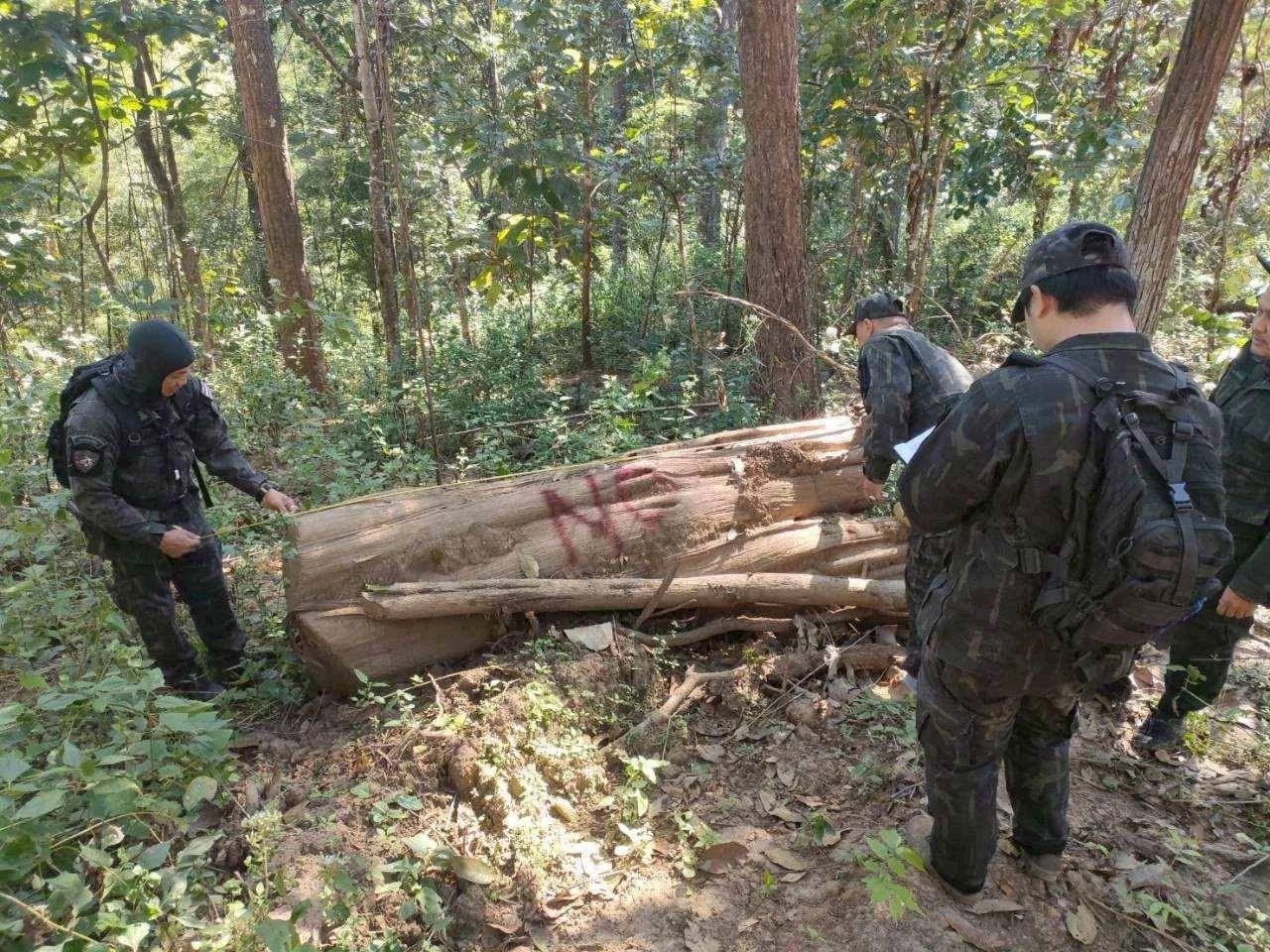 สั่งเด้ง "หน.เขตฯ แม่ยวมฝั่งขวา" ปมตัดถนนกลางป่าอนุรักษ์" หลัง "ชัยวัฒน์" โพสต์ปริศนา "ทุจริตกลางป่ากับเงิน 3 ล้าน"